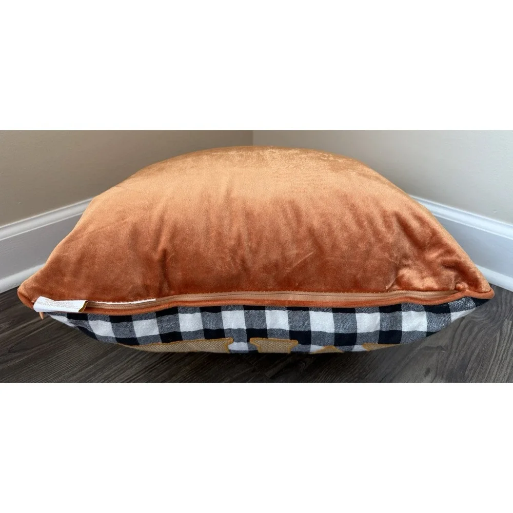 HFS Home Pumpkin Fall Harvest Plaid Down Feather Pillow Orange Velvet 20x20‎